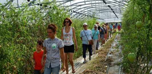 Prisca fait visiter sa ferme aux participants et leur fait découvrir l'agriculture paysanne