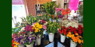 Moissac. Printemps : éveil des sens et bouquets ensoleillés chez Passiflore Fleuriste avec Auriane . Printemps : éveil des sens et bouquets ensoleillés chez Passiflore avec Auriane