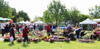 Castelsarrasin. Arts en Fleurs 2024 : une édition qui promet des surprises Arts en Fleurs 2024 à Castelsarrasin_Crédit photo Ville de Castelsarrasin