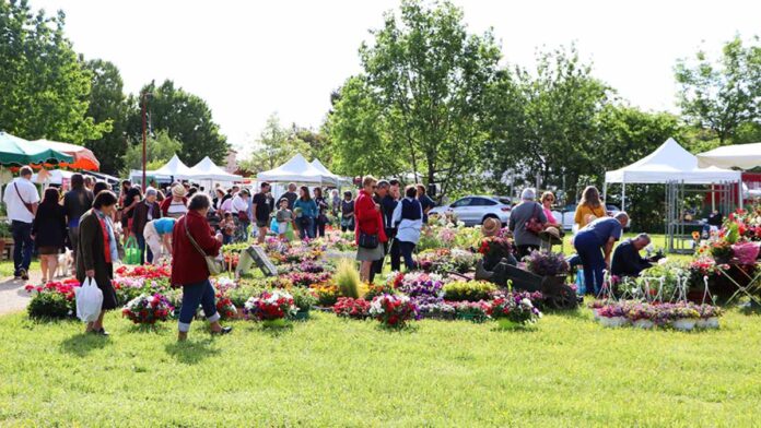 Arts en Fleurs 2024 à Castelsarrasin_Crédit photo Ville de Castelsarrasin