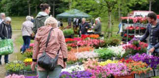 Castelsarrasin. Arts en Fleurs : éclat printanier au Parc Clairefont Arts en Fleurs Castelsarrasin