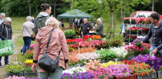 Arts en Fleurs Castelsarrasin