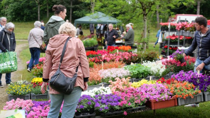 Arts en Fleurs Castelsarrasin