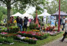 Arts-en-fleurs Castelsarrasin