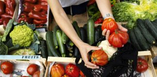 Contrôles renforcés sur les fruits et légumes : les autorités de Tarn-et-Garonne vigilantes sur les pratiques trompeuses Controle fruits et legumes Tran et Garonne Freepik