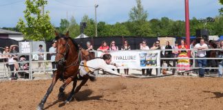 Monclar-de-Quercy. La Fête du Cheval 2025 : une nouvelle édition en préparation La magie équestre a illuminé Montclar-de-Quercy ce week-end lors de la célébration annuelle de la Fête du Cheval