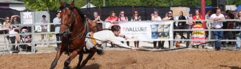 La magie équestre a illuminé Montclar-de-Quercy ce week-end lors de la célébration annuelle de la Fête du Cheval