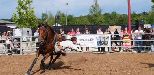 La magie équestre a illuminé Montclar-de-Quercy ce week-end lors de la célébration annuelle de la Fête du Cheval