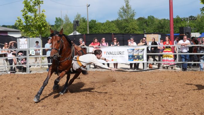 La magie équestre a illuminé Montclar-de-Quercy ce week-end lors de la célébration annuelle de la Fête du Cheval