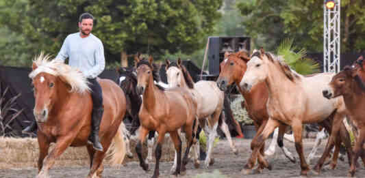 Fete du cheval Monclar de Quercy_Crédit photo Caza Photography