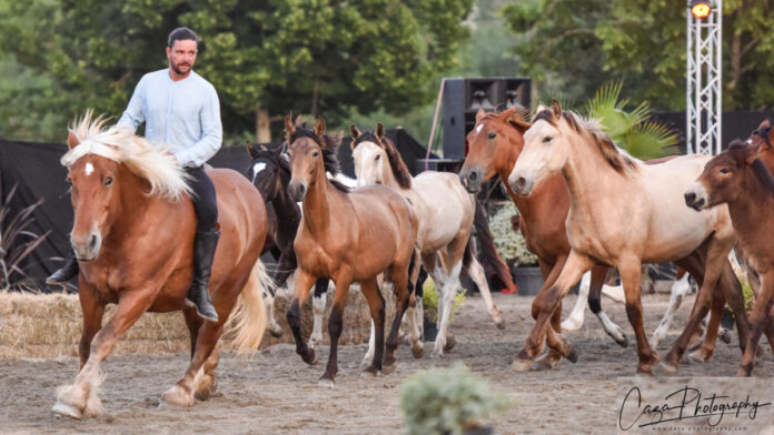 Fete du cheval Monclar de Quercy_Crédit photo Caza Photography