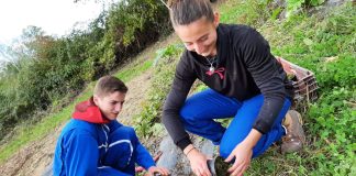 Montauban. Le Campus Terre et Vie ouvre ses portes samedi 1er juin : découvrez les formations agricoles pour adultes Journée portes ouvertes campus terre et vie Montauban