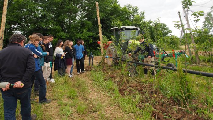 Classe de BTSA MV dans la parcelle de pommiers_Crédit photo Campus Terre de Vie