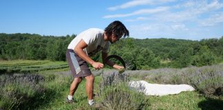 L’ Honor-de-Cos. Une parenthèse champêtre pour découvrir les plantes aromatiques Herba Robert a ouvert ses portes