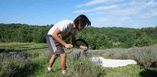 Herba Robert a ouvert ses portes
