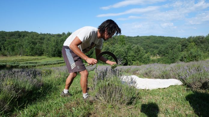 Herba Robert a ouvert ses portes