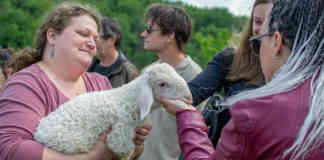 Pays de Lafrançaise. Les Escapades d’été : découvrez le programme de la semaine Escapades d'été Pays de Lafrançaise du 5 au 11 août_Crédit photo Ferme du Mourié- Charlotte Henaff Cap