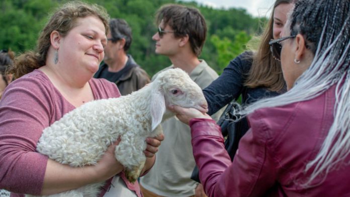 Escapades d'été Pays de Lafrançaise du 5 au 11 août_Crédit photo Ferme du Mourié- Charlotte Henaff Cap