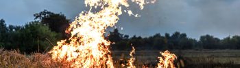 Prevention feux de foret et vegetation Tarn-et-Garonne_pvproductions
