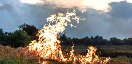 Prevention feux de foret et vegetation Tarn-et-Garonne_pvproductions
