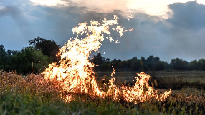 Prevention feux de foret et vegetation Tarn-et-Garonne_pvproductions