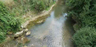 Sécheresse en Tarn-et-Garonne : des restrictions de l’usage de l’eau renforcées Restriction eau milieu naturel tarn-et-garonne