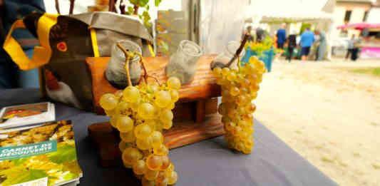 Moissac Fête des Fruits et des Saveurs_JDJ