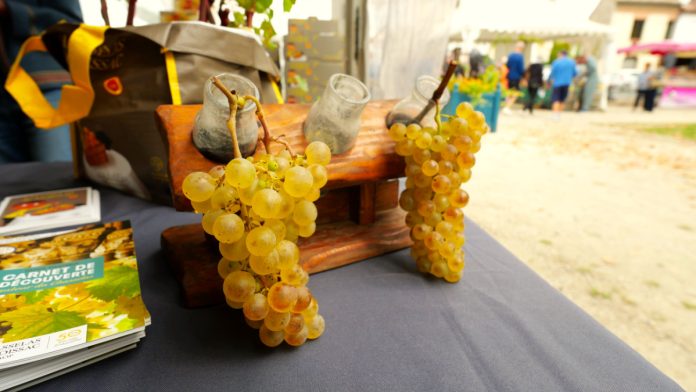 Moissac Fête des Fruits et des Saveurs_JDJ