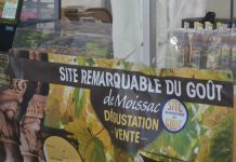 fruitssaveurs-Ville de Moissac