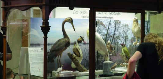 Museum Victor-Brun Montauban_Crédit photo Patrick Fischer