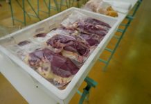 Castelsarrasin. Le marché au gras reprend du service à la Halle Occitane marché au gras Castelsarrasin