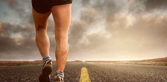 _Credit photo kinkate Pixabay