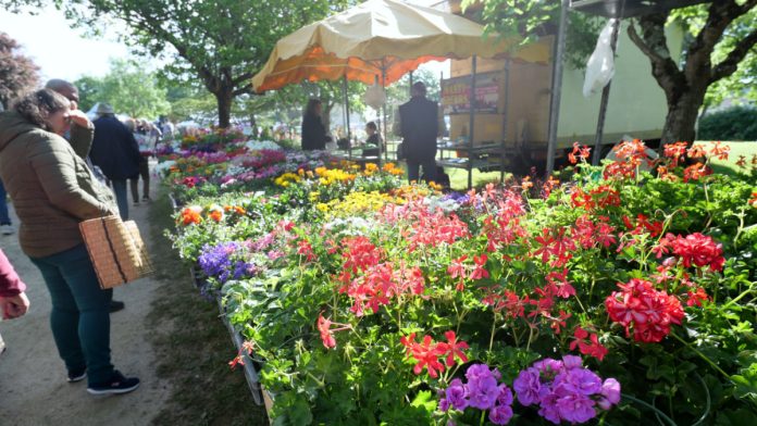 Arts en fleurs 2025 Castelsarrasin parc de Calirefont_JDJ Arts en fleurs 2025 Castelsarrasin parc de Calirefont_JDJ