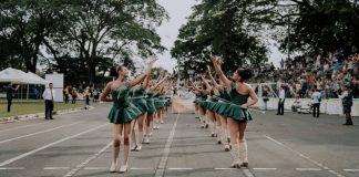 Castelsarrasin. Rendez-vous le 7 juin pour le Festival des Majorettes. Festival des Majorettes Castelsarrasin_Crédit photo pexels-hugo-martinez