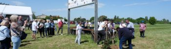 Plantation chene habitat partage adultes autistes castelsarrasin tarn-et-garonne_JDJ