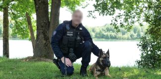 Rencontre avec Cat chien policier à Montauban Rencontre avec Cat chien policer à Montauban_JDJ