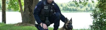 Rencontre avec Cat chien policer à Montauban_JDJ