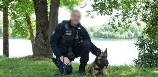 Rencontre avec Cat chien policer à Montauban_JDJ