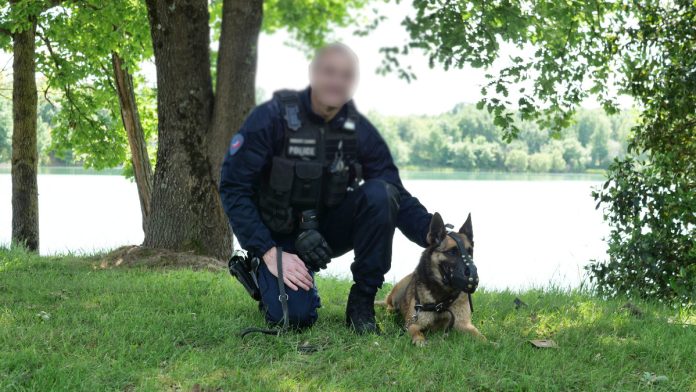 Rencontre avec Cat chien policer à Montauban_JDJ Rencontre avec Cat chien policer à Montauban_JDJ
