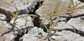Moissac. Retrait-gonflement des argiles : une conférence pour comprendre et anticiper le risque Conference retrait gonflement argiles moissac-wirestock freepik