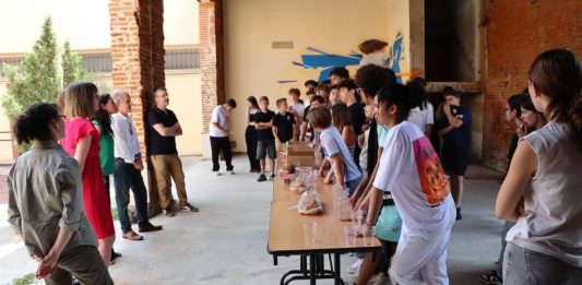 Exposition photo Castelsarrasin-LEtrange dans la ville-Mairie de Castelsarrasin