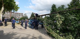 Moissac. La plantation du Mai lance les festivités de Pentecôte Plantation du Mai Moissac 2025_JDJ