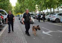 Tarn-et-Garonne : 5 mois d’action, 450 permis suspendus, –18 % de violences Bilan securité Tarn-et-Garonne 2025