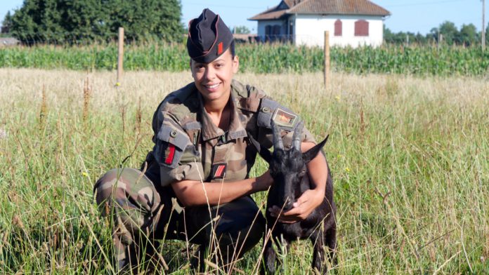 Turco mascotte 31e RG Castelsarrasin avec Caporal Sarah_JDJ Turco mascotte 31e RG Castelsarrasin avec Caporal Sarah_JDJ