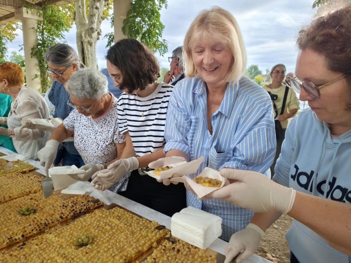 fete des fruits et des saveurs moissac 2025 fete des fruits et des saveurs moissac 2025