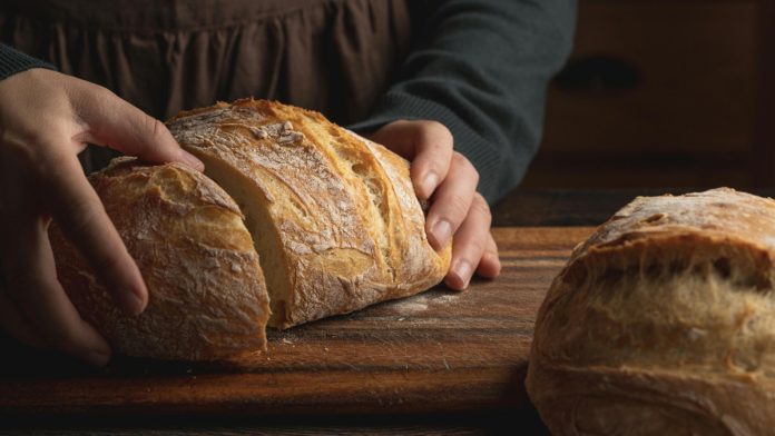 Concours régionaux de boulangerie Tarn-et-Garonne_ Photo Skyler Ewing Concours régionaux de boulangerie Tarn-et-Garonne_ Photo Skyler Ewing