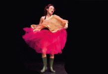 Castelsarrasin. Et si, pour une soirée, on dansait ? Et si on dansait spectacle Castelsarrasin