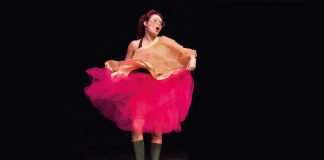 Castelsarrasin. Et si, pour une soirée, on dansait ? Et si on dansait spectacle Castelsarrasin