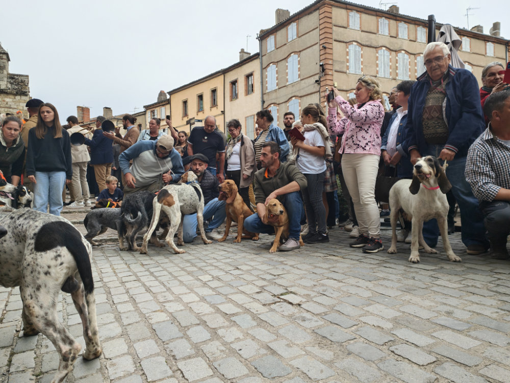 Moissac célèbre la Saint-Hubert : chiens, cors et ferveur à l’abbatiale Saint-Pierre 20 IMG20251019172638