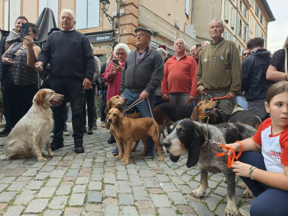 Moissac célèbre la Saint-Hubert : chiens, cors et ferveur à l’abbatiale Saint-Pierre 22 IMG20251019172647